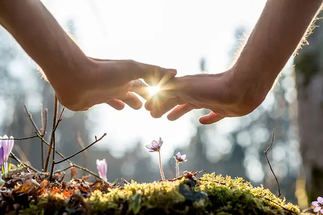 hands cupped over little flowers with sun in background